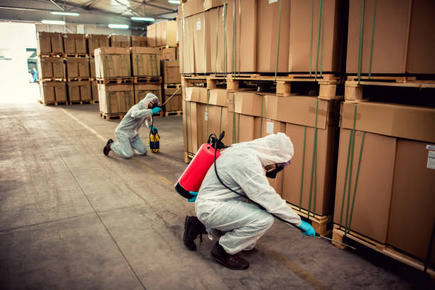 Trusted Lowes Island, VA Pest Control Experts