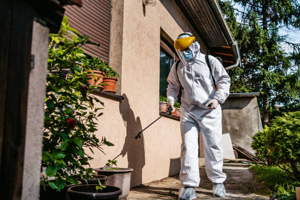 Best Local Pest Control Services  in Lowes Island, VA
