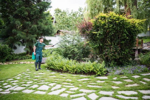 Best Residential Pest Control  in Lowes Island, VA