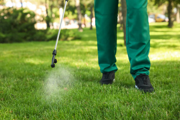 Best Bed Bug Extermination  in Lowes Island, VA